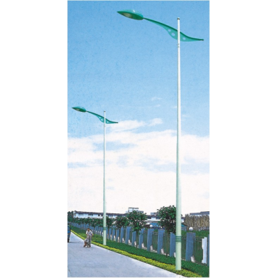 飞煌照明路灯杆照明路灯高杆灯中杆灯6米8米10米12米广场灯杆FH-3401
